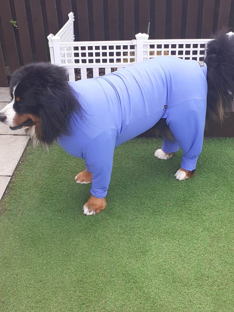 EQUAFLEECE DOG SUMMER SUIT XL