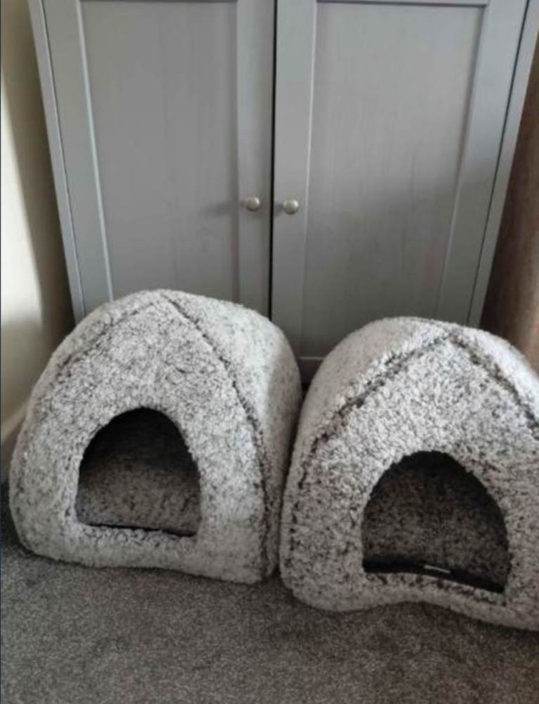 Igloo cat beds
