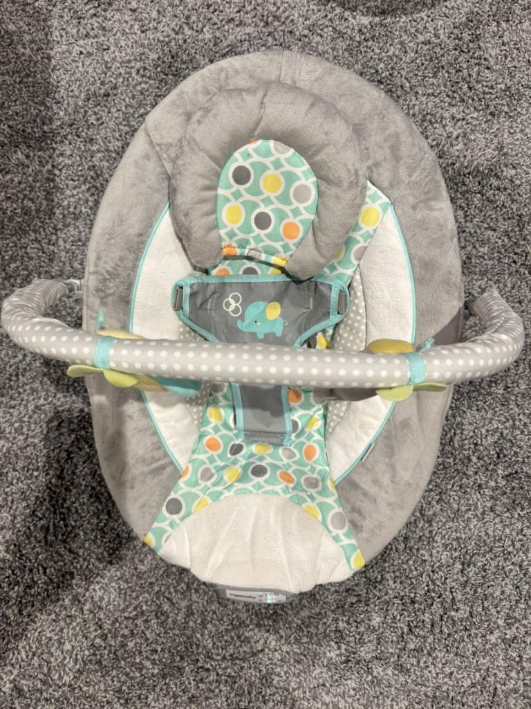 Ingenuity Baby Bouncer / Rocker Chair