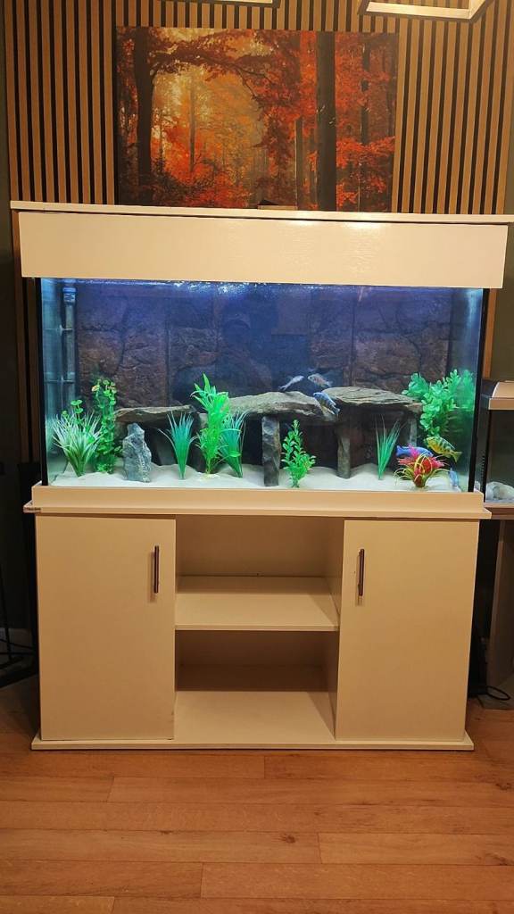 ☆☆COMPLETE SET UP!!☆☆