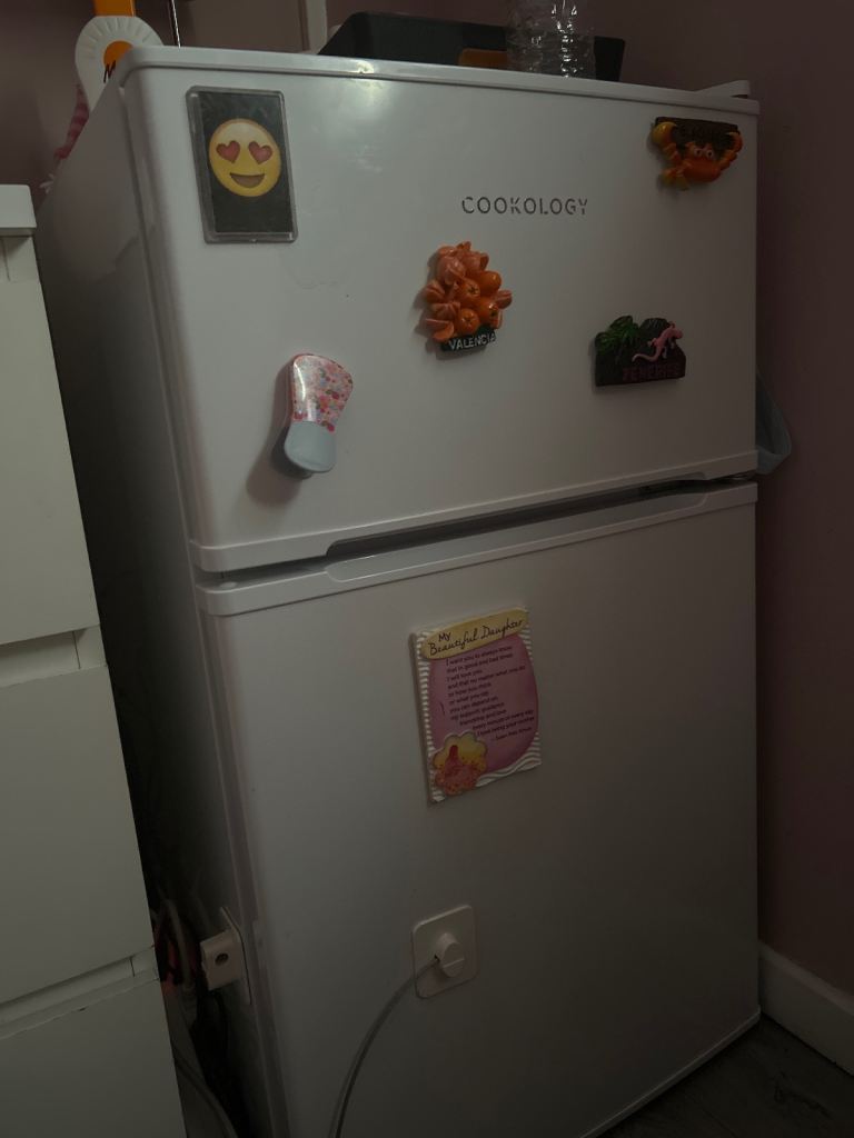 Mini fridge freezer 