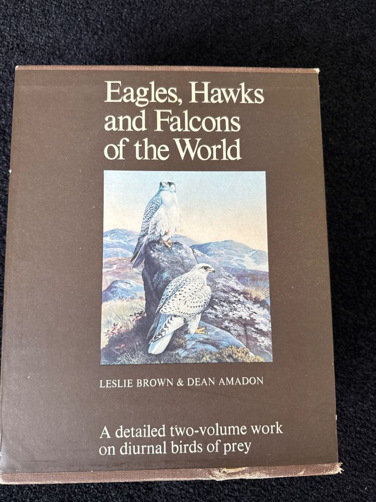 Eagles, Hawks and Falcons of the World