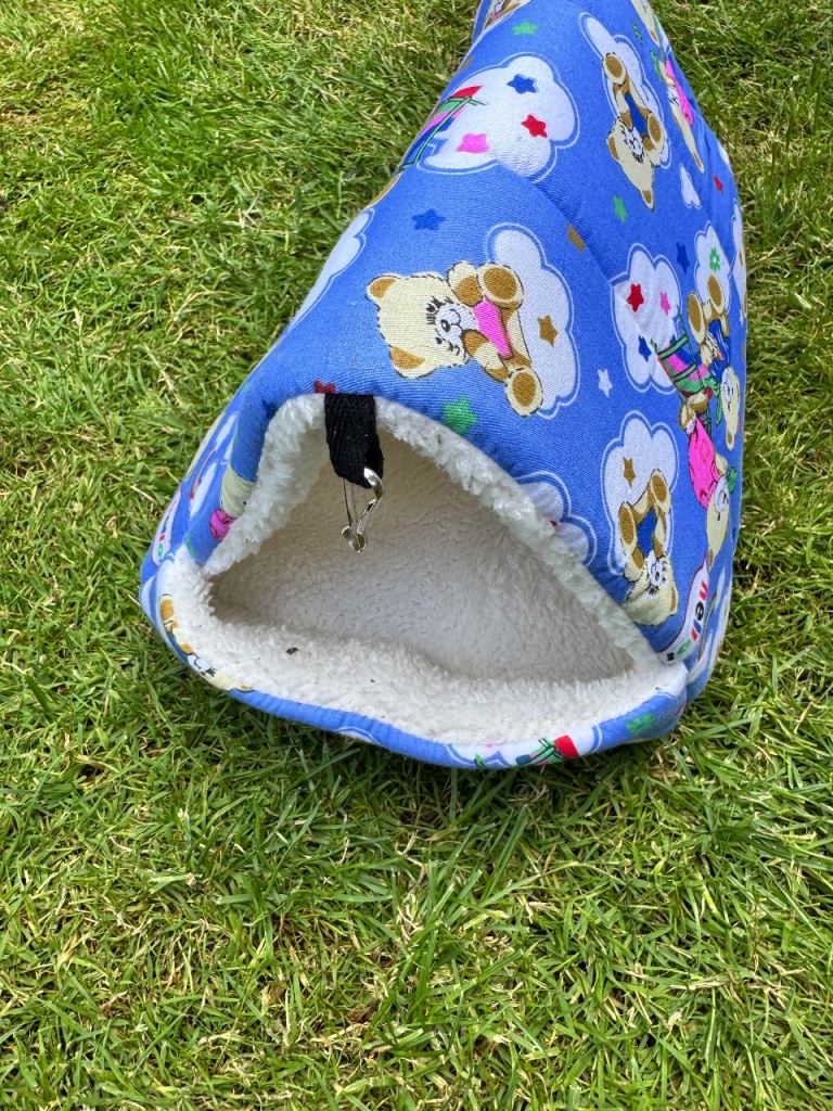 Guinea pig house