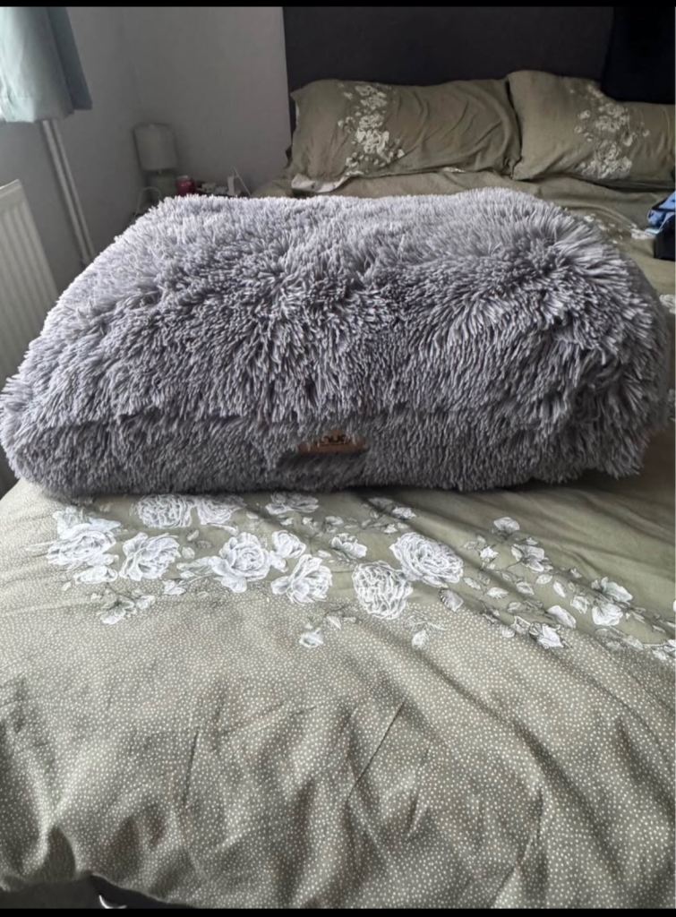 Dog bed 