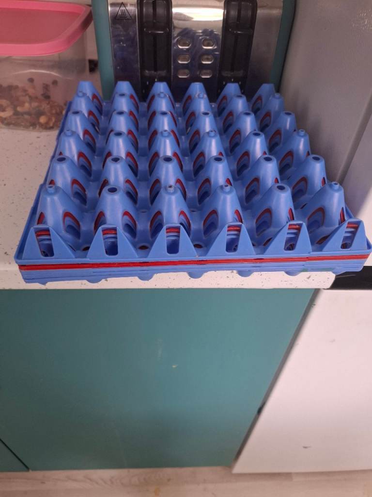 Free 5 egg trays 