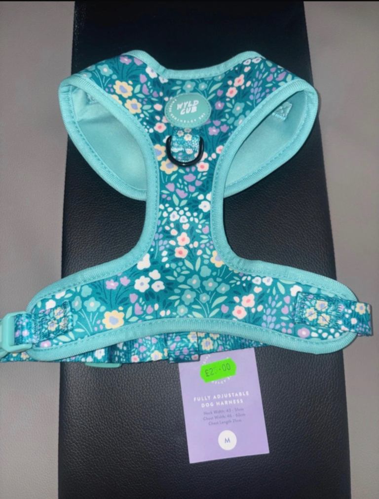 Dog Harness - Medium - Green 