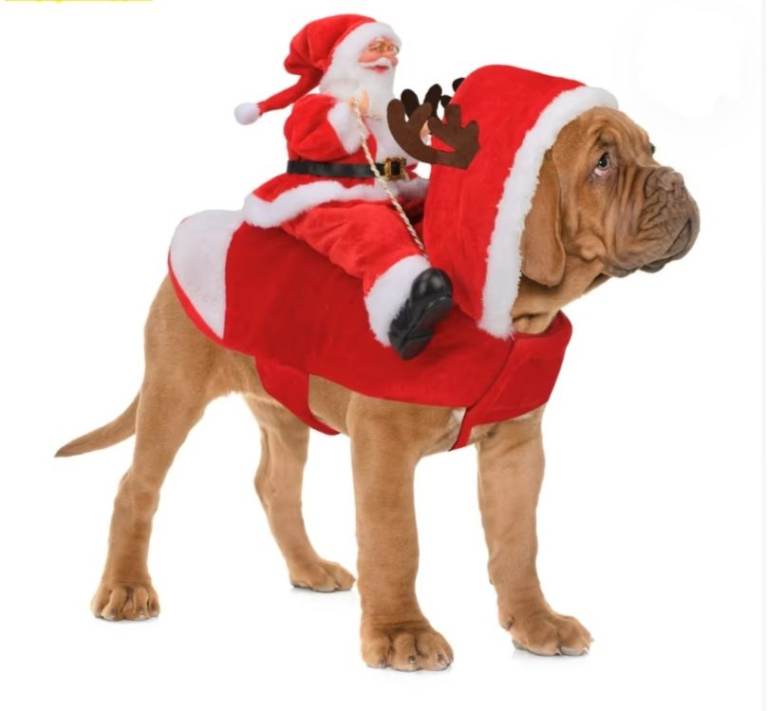 Dog Costume. Santa. 