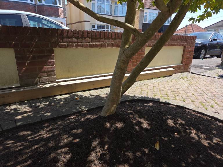 C24 Treated Timber - 150x47mm 4.8 metres
