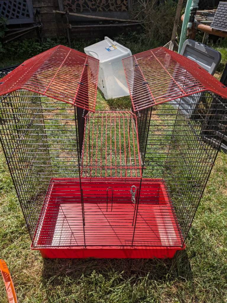 Small animal cage