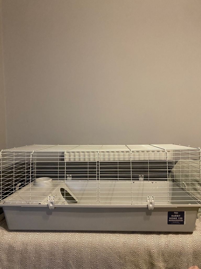 Rabbit home 120 