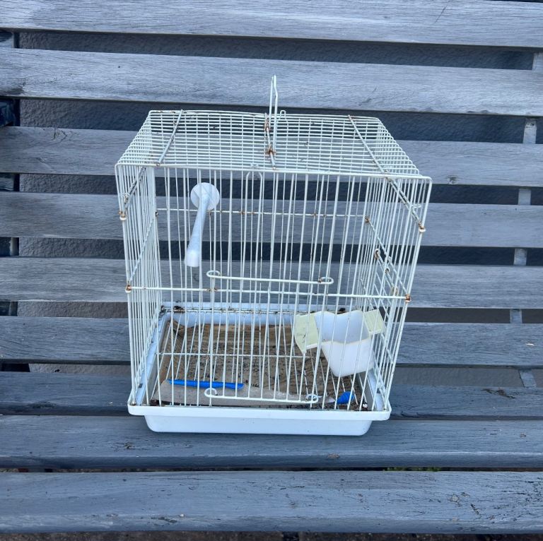 Small Bird Carry Cage