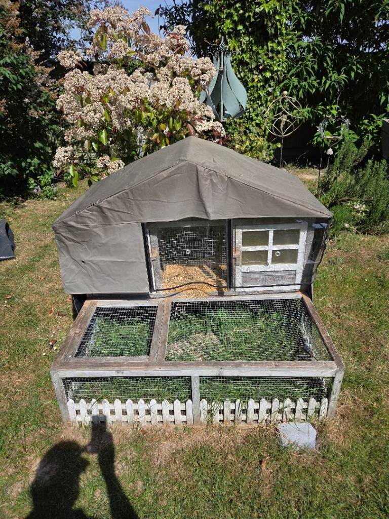 Guinea Pig / Rabbit hutch Pets at home