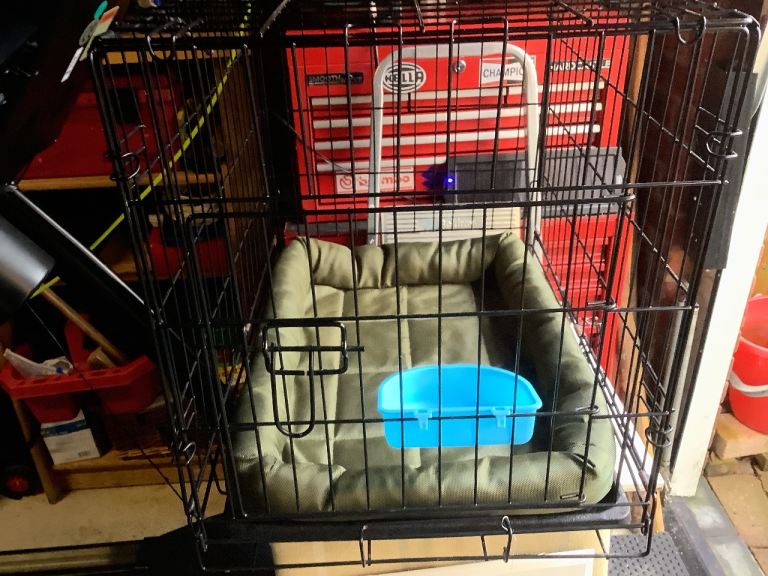 Medium size pet cage