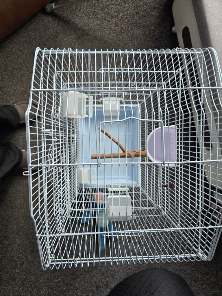 Tall bird cage 