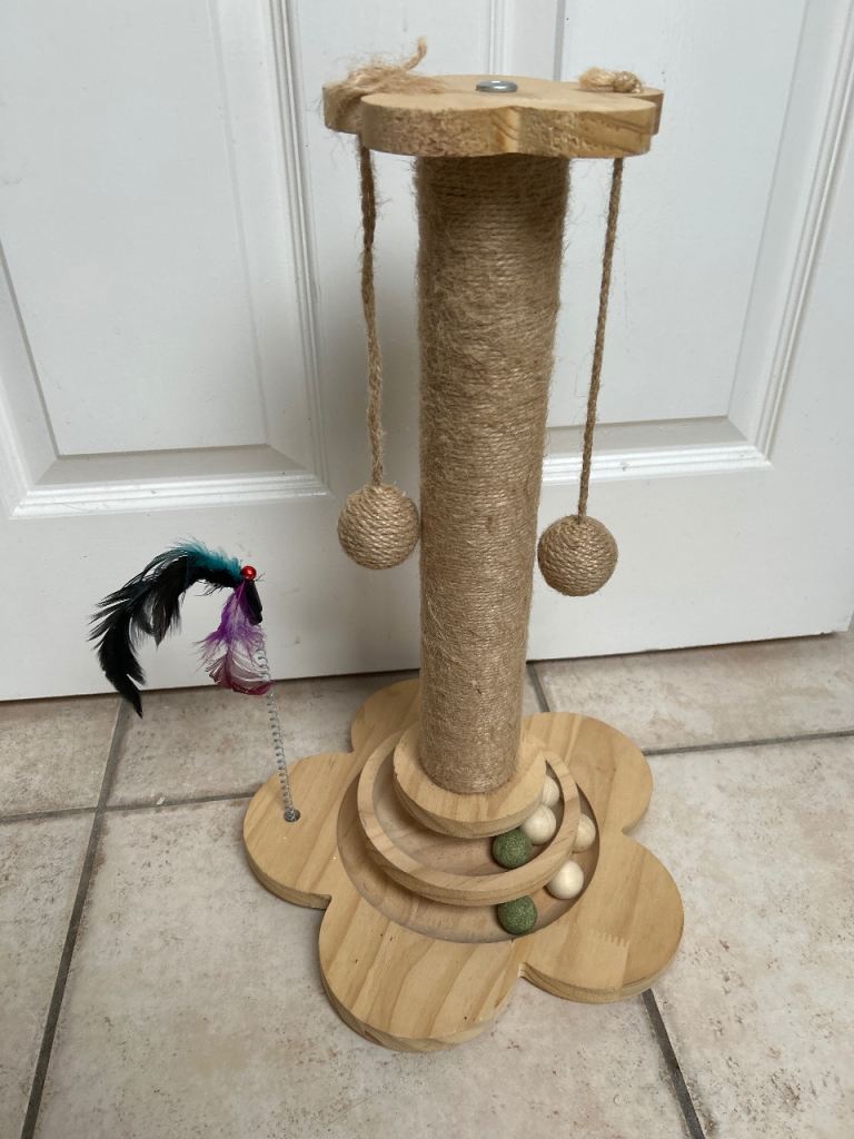 Kitten play tree