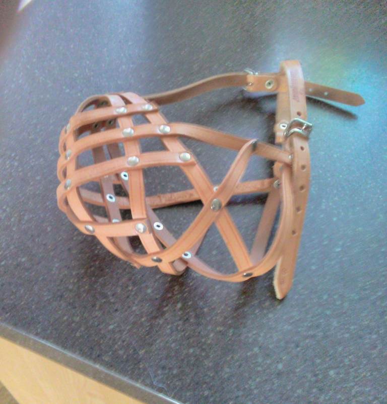 Champion leather dog muzzle for boxer dogs