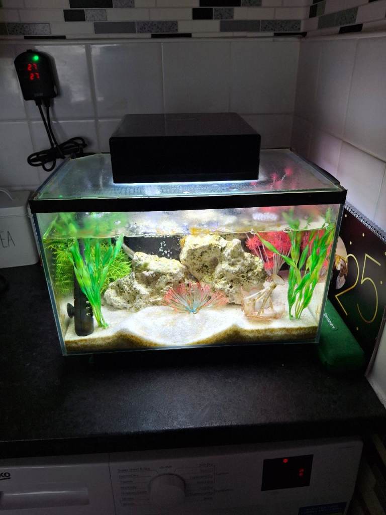Fish Tank 