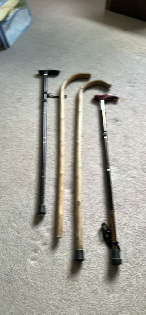Walking sticks