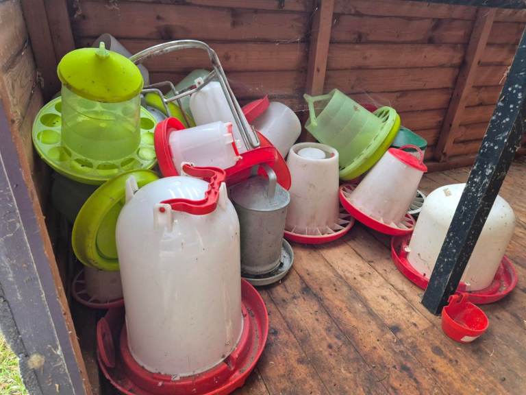Chicken feeders and Waterers