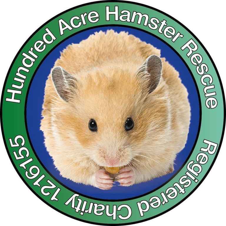 Hamsters for adoption 