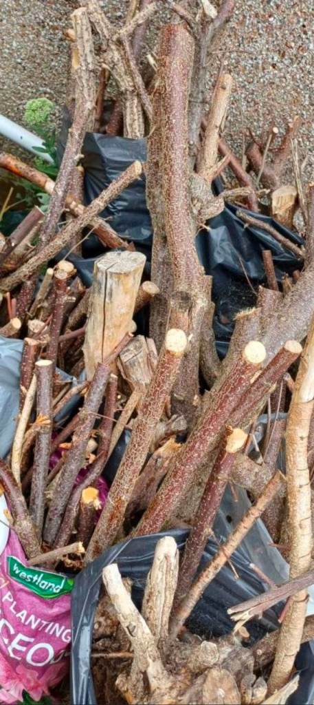 12 sack of tree cutting for wood burners £5 PER BAG🙏🏻URGENT SALES , £5.00
