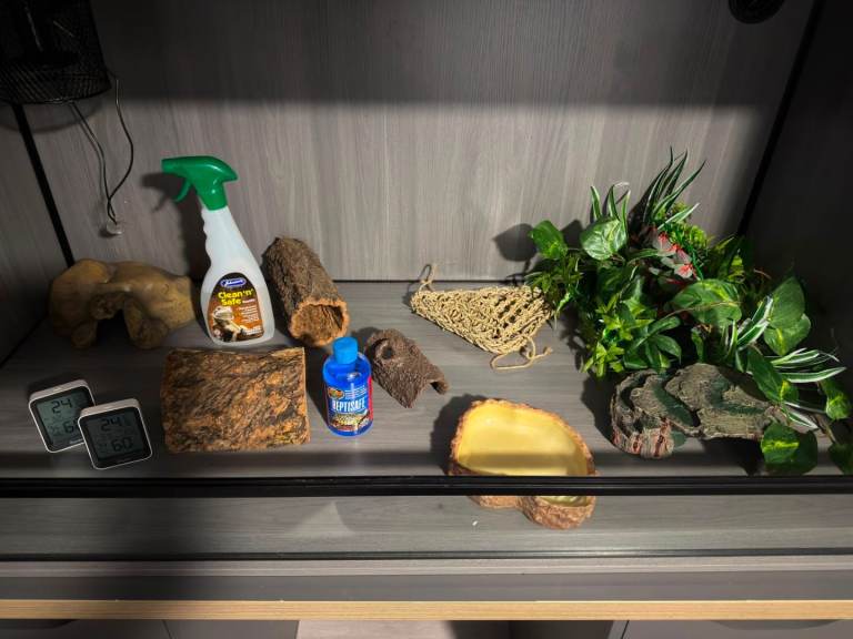 Pro reptile enclosure 