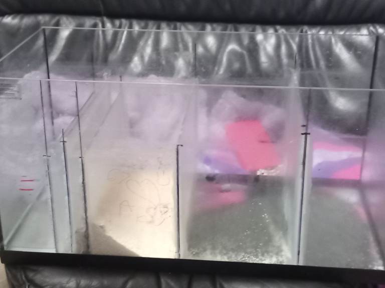 Home made sump for fish tank 