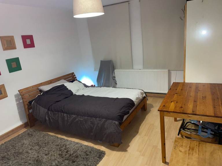Large room in excellent flat near Lark Lane/Sefton Park