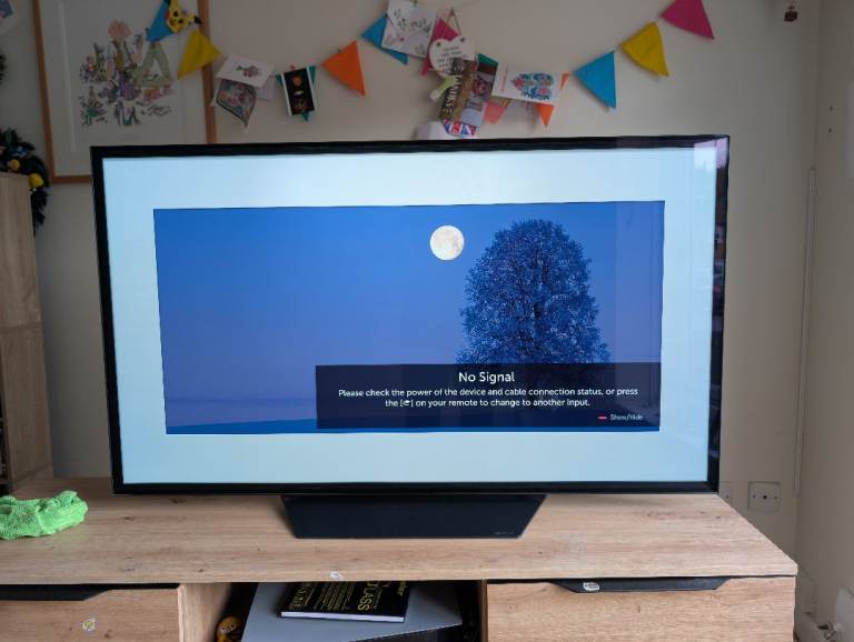LG OLED 55" TV