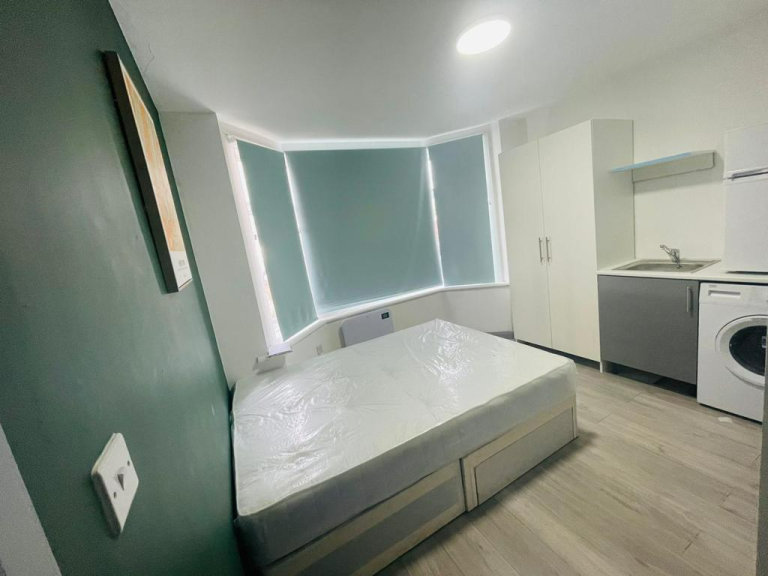 Studio Room in Luton (LU4 8DP)
