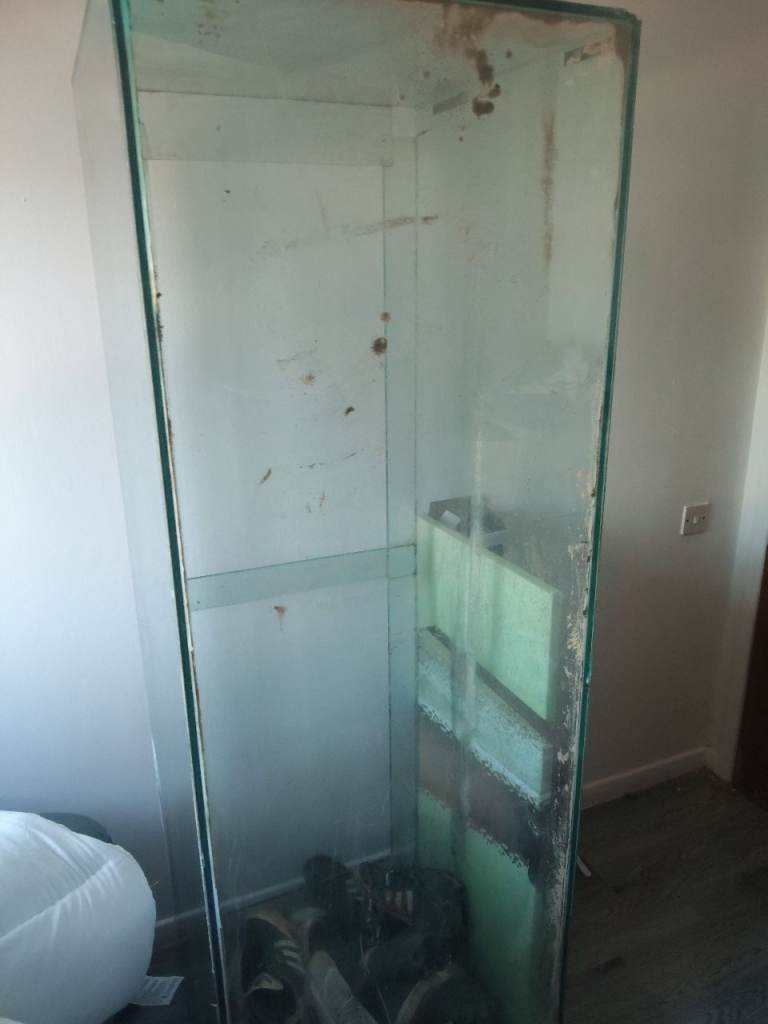 6x2x2ft fish tank !!!FREE!!! 
