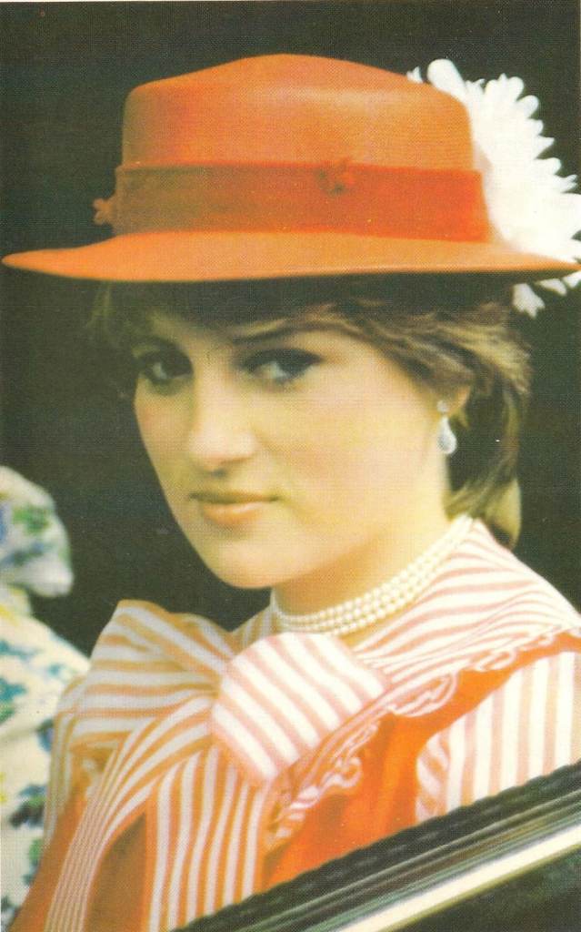 12. A framed Diana Princess of Wales Portrait postcard