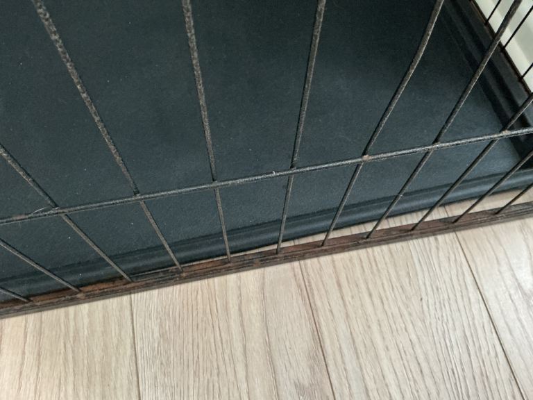 Dog crate with open top