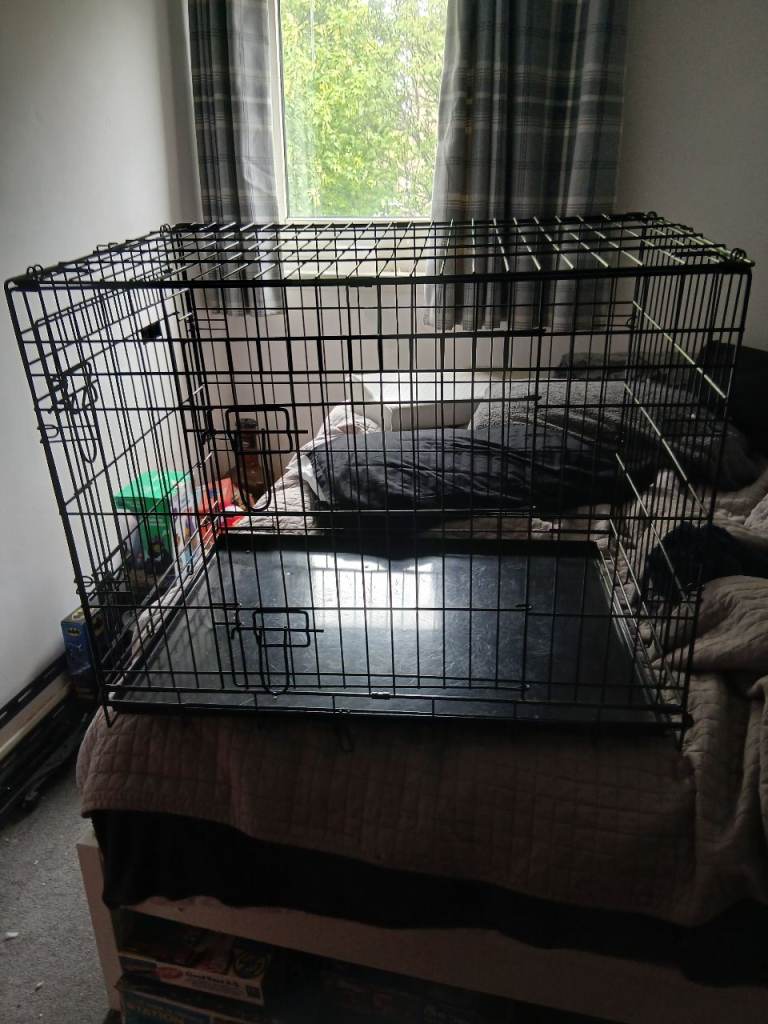 Large dog crate