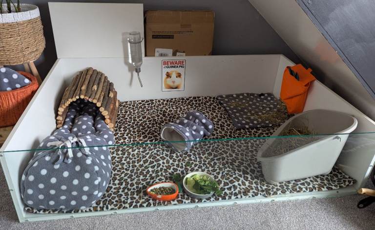 Guinea pig cage 130cm x 85cm x 30cm