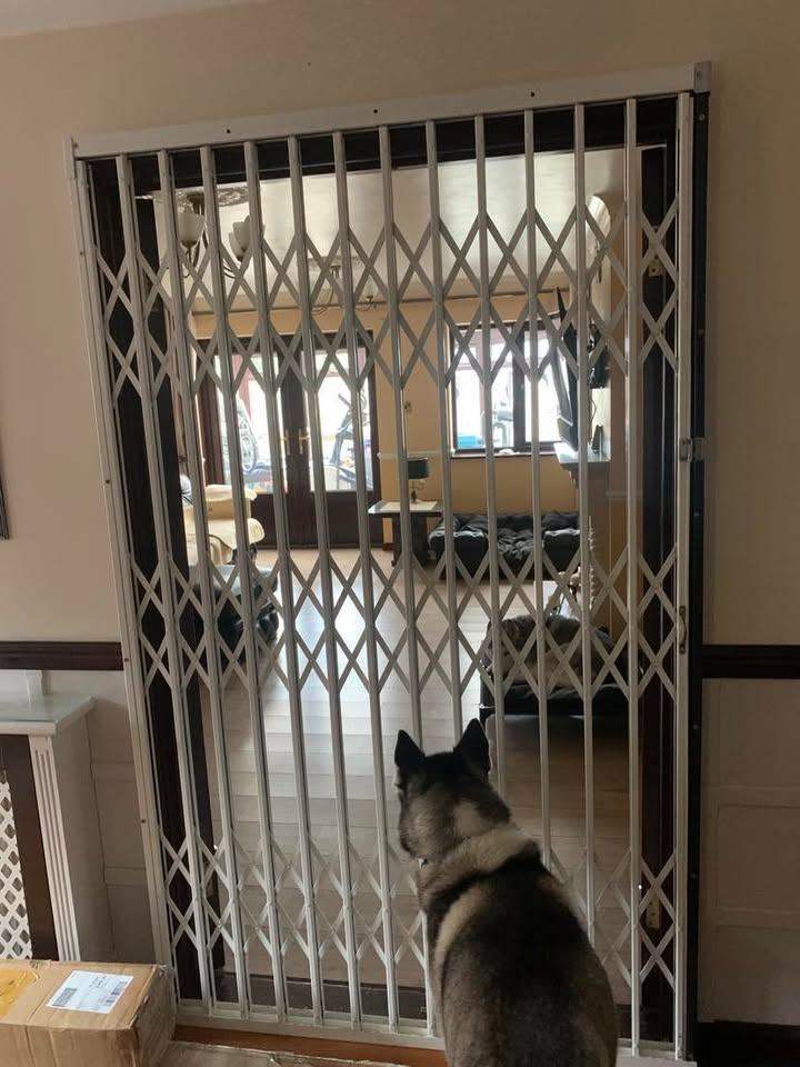 Metal Security , Dog Gate, Sliding / Retractable / Scissor Style, Grille, Strong Key Locking