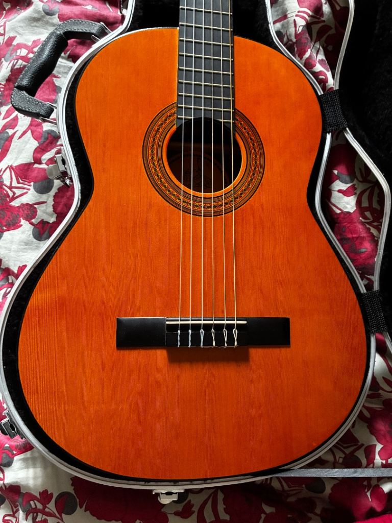 Classical Spanish Guitar