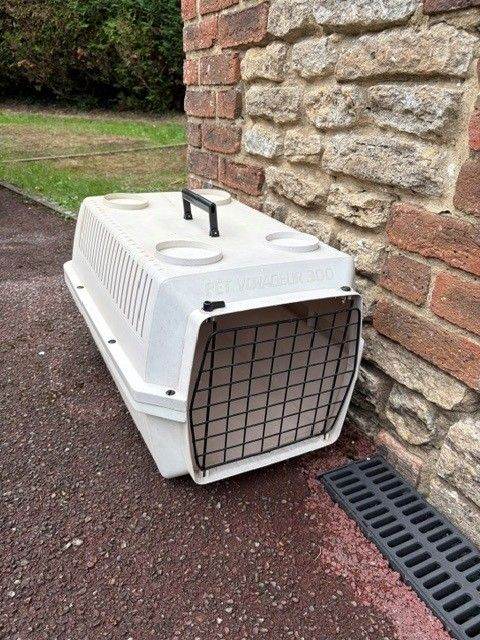 Dog Airline Travel crate