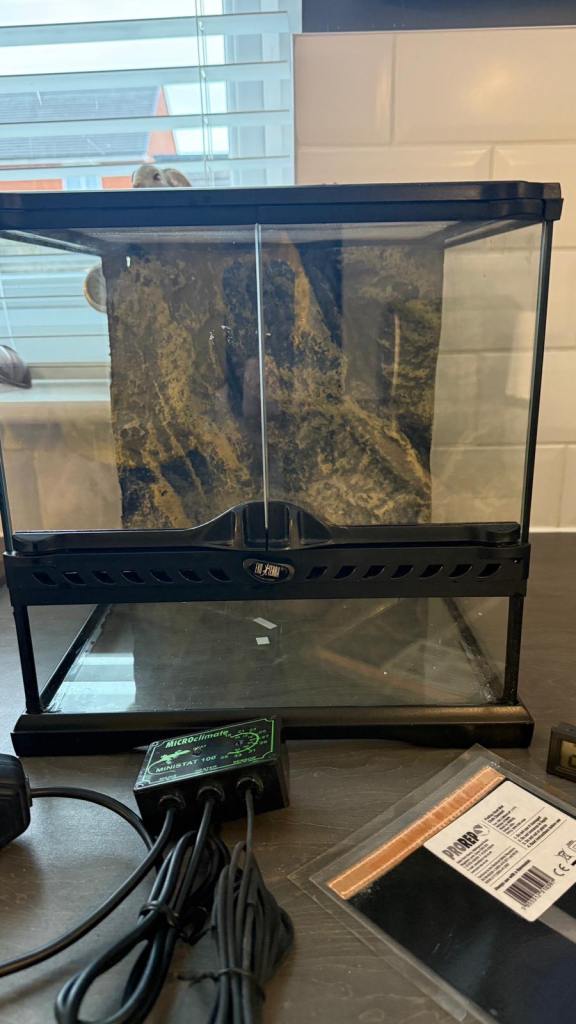 Exo Terra 30x30x30 Scorpion set up