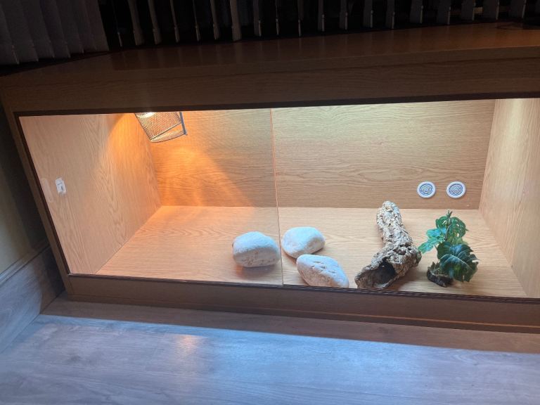 Lizard vivarium