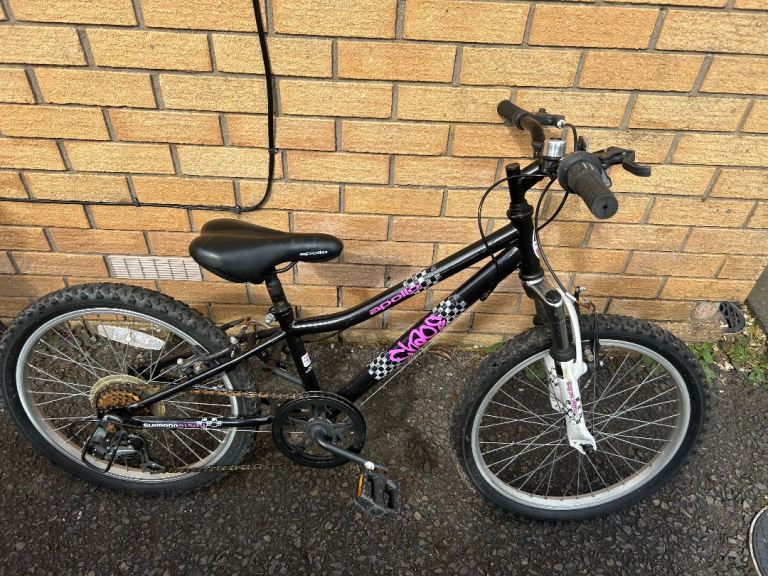 Girls 20 inch bike