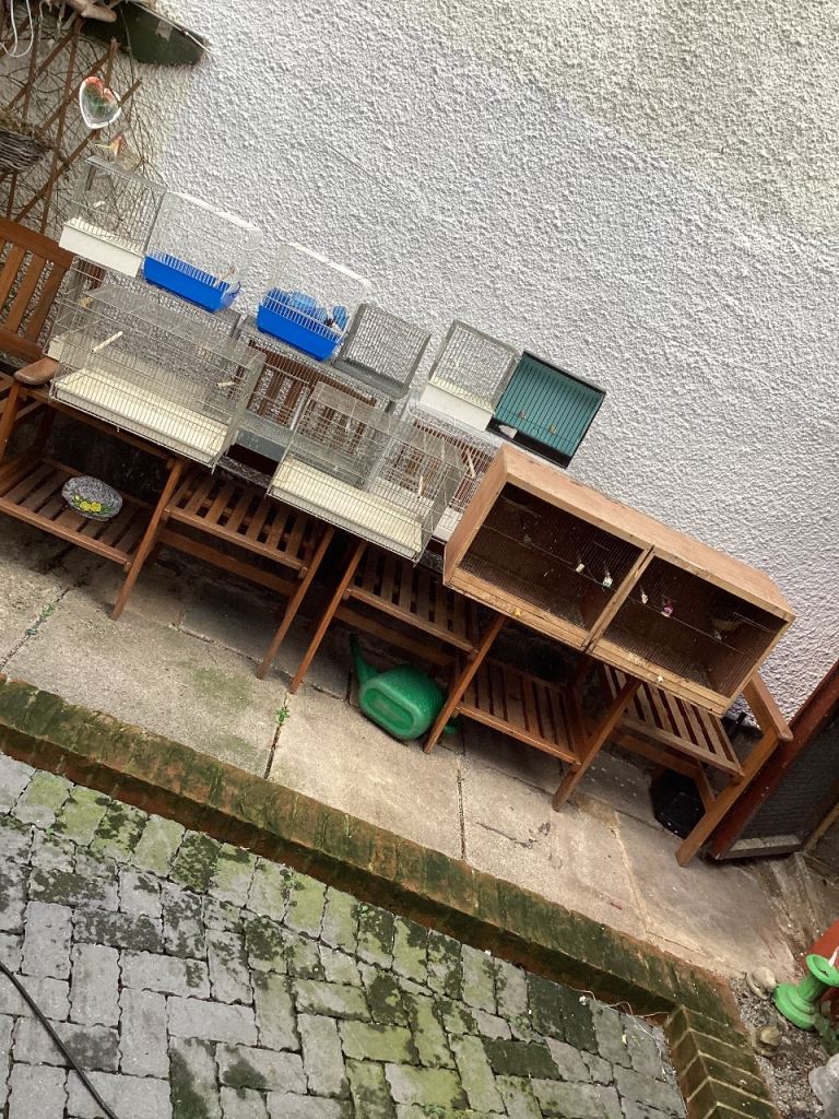 image for Bird cages and accessories