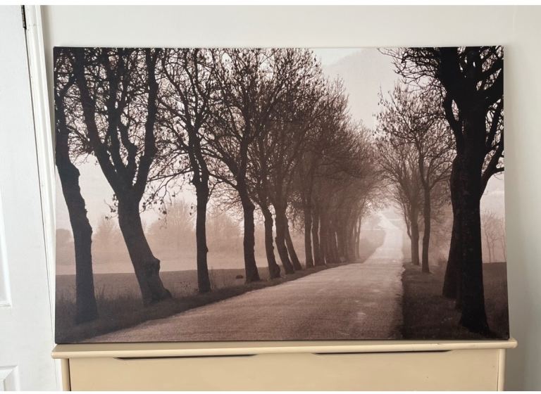 Extra Large Ikea Brown Forest Canvas Wall Art