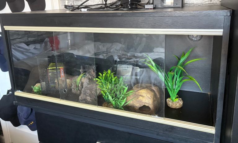 3ft Vivarium