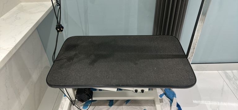 Electric dog grooming table 