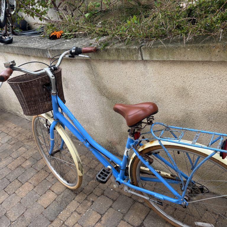 Pendleton Somerby Ladies retro cycle 
