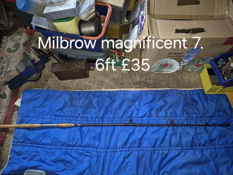 Fishing rod 