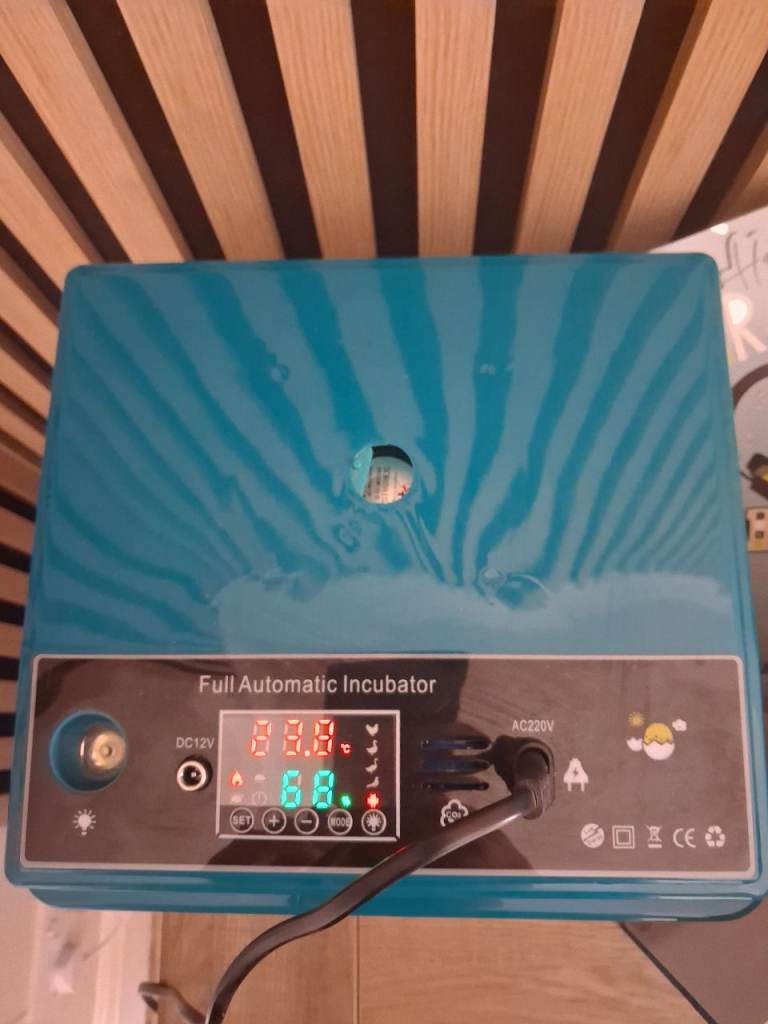 16 egg incubator auto