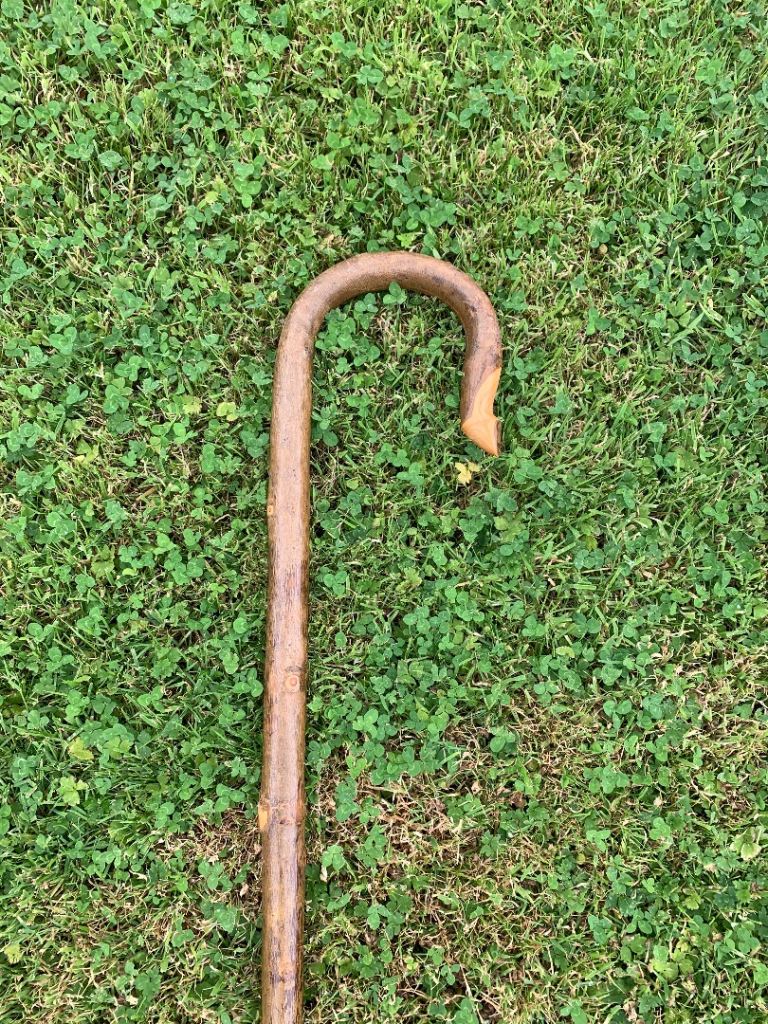 Original Shepherds crook walking stick one piece sheep show pony 