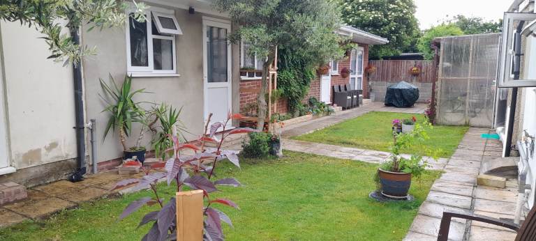 A large room in a semi detached house